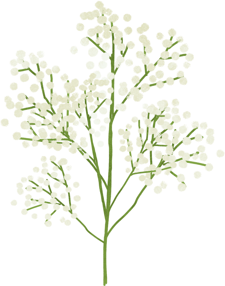 White flower for decor